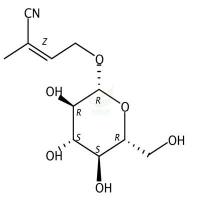 Rhodiocyanoside A  CAS号：168433-86-1