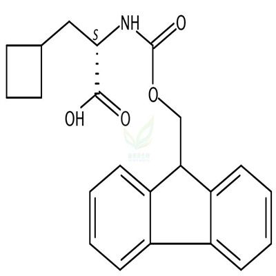 CAS号：478183-62-9