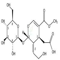 10-Hydroxyoleoside 11-methyl ester  CAS号：131836-11-8