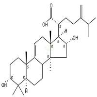 3-表去氢土莫酸  CAS号：167775-54-4
