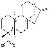 对映贝壳二烯酸  CAS号：22338-67-6