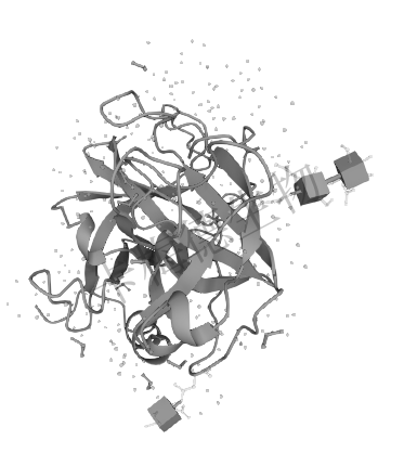 肝素结合蛋白（HBP）介绍