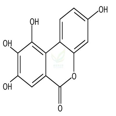 尿石素M6  CAS号：1006683-97-1