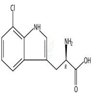 7-氯-D-色氨酸  CAS号：75102-74-8