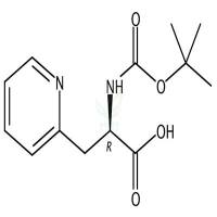 BOC-D-Pya-OH  CAS号：98266-32-1