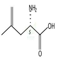 L-Methallylglycine  CAS号：87392-13-0