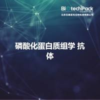 磷酸化蛋白质组学 抗体