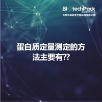 蛋白质定量测定的方法主要有??