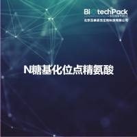 N糖基化位点精氨酸