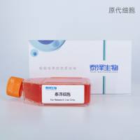 大鼠骨髓造血干细胞