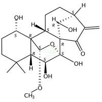 牛尾草素F  CAS号：155977-87-0