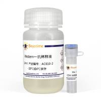 COX IV抗体(兔多抗)