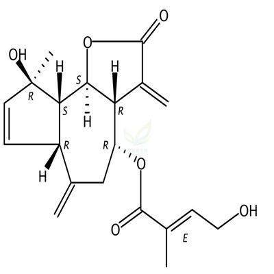 林泽兰内酯B  CAS号：757202-08-7