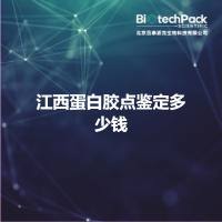 江西蛋白胶点鉴定多少钱