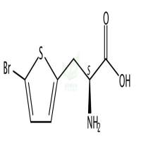 L-3-(2-(5-溴噻吩))丙氨酸  CAS号：154593-58-5