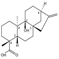 9Beta-羟基-对映贝壳杉-16-烯酸 CAS号:77658-38-9