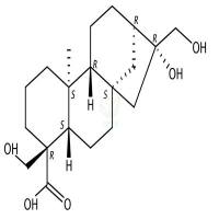(10α)-16α,17,19-三羟基贝壳杉烷-18-羧酸  CAS号：308821-59-2
