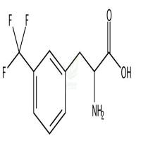 3-(Trifluoromethyl)phenylalanine  CAS号：63701-37-1