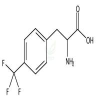 4-(Trifluoromethyl)phenylalanine CAS号:14091-16-8
