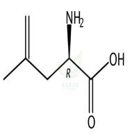 D-Methallylglycine CAS号:905929-81-9