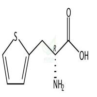 3-(2-噻吩基)-d-丙氨酸  CAS号：62561-76-6