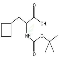 BOC-DL-环丁基丙氨酸  CAS号：565456-75-9