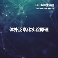 体外泛素化实验原理