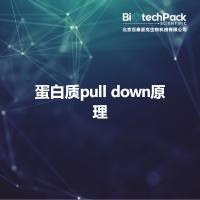 蛋白质pull down原理