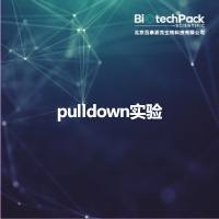 pulldown实验