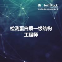 检测蛋白质一级结构工程师