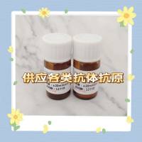 葡萄球菌A蛋白SPA抗原