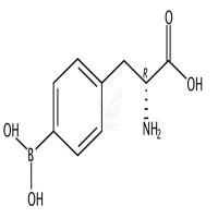 4-Borono-D-phenylalanine CAS号:111821-49-9