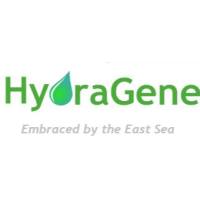 HyAgarose LE高纯度低电渗（Low EEO）多用途琼脂糖