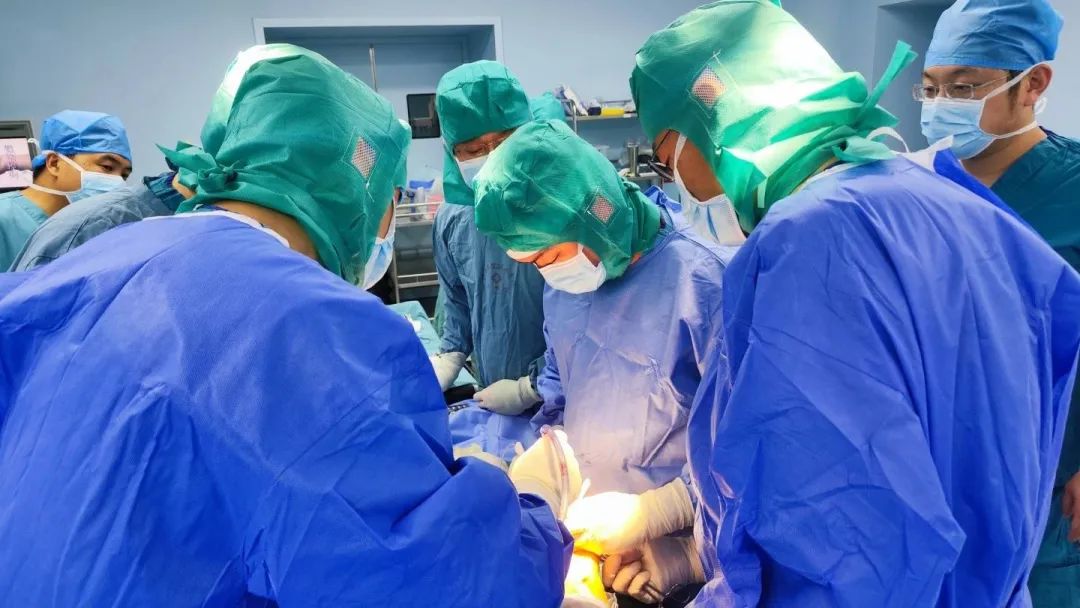骨科髋膝关节公益行陕西省中医药继续教育项目暨膝关节骨关节炎中西医结合治疗进展学术会在延安市中医医院圆满落幕