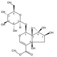 野芝麻新苷 CAS号:27856-54-8
