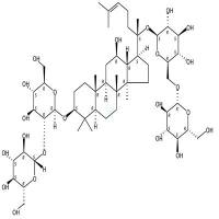 人参皂苷Rb1  CAS号：41753-43-9