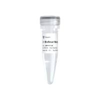 BioSmart MethyLight qPCR Mix（EM701）