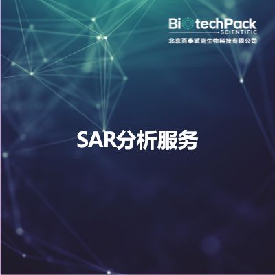 SAR分析服务