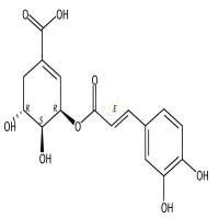 3-O-咖啡酰莽草酸  CAS号：180981-12-8