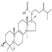 齿孔酸  CAS号：560-66-7