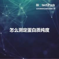 怎么测定蛋白质纯度
