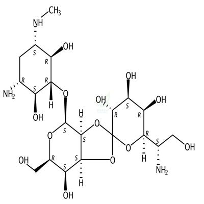 潮霉素B CAS号:31282-04-9