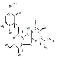 潮霉素B  CAS号：31282-04-9