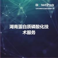 湖南蛋白质磷酸化技术服务