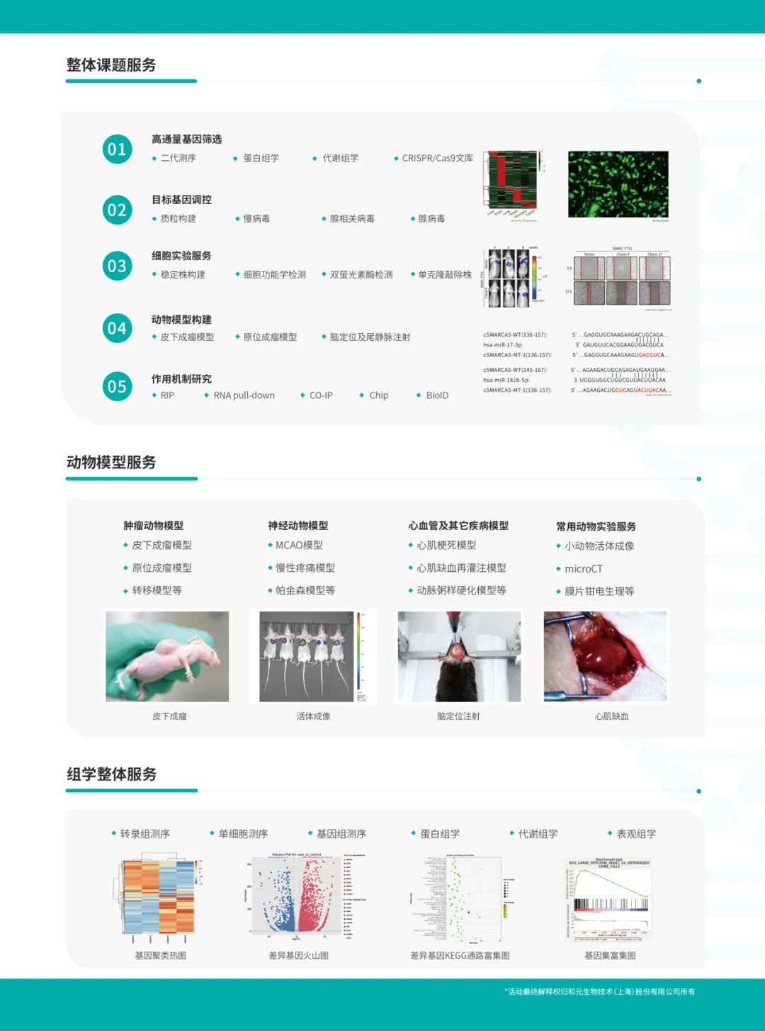 bti体育·(中国)官方网站APP下载