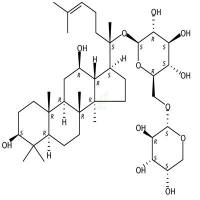 人参皂苷CY  CAS号：83480-65-3