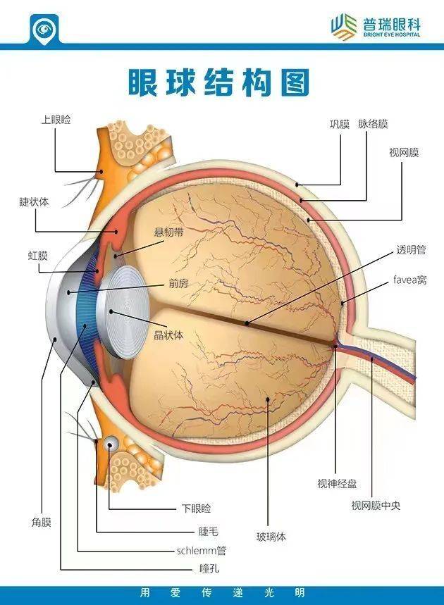 武汉普瑞眼科医院提醒:这些人群需要定期进行眼健康检查