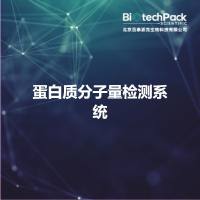 蛋白质分子量检测系统