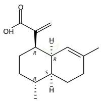 青蒿酸  CAS号：80286-58-4
