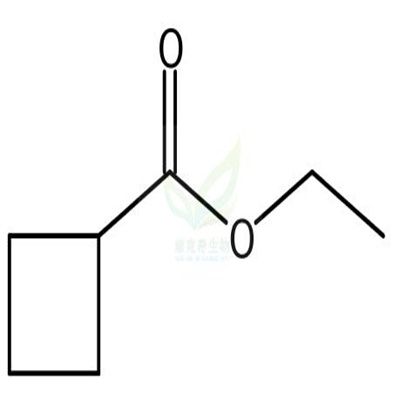Ethyl Cyclobutanecarboxylate  CAS号：14924-53-9